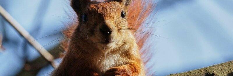  ������ ����� ������ ������ ����� ����� ����� ������ 