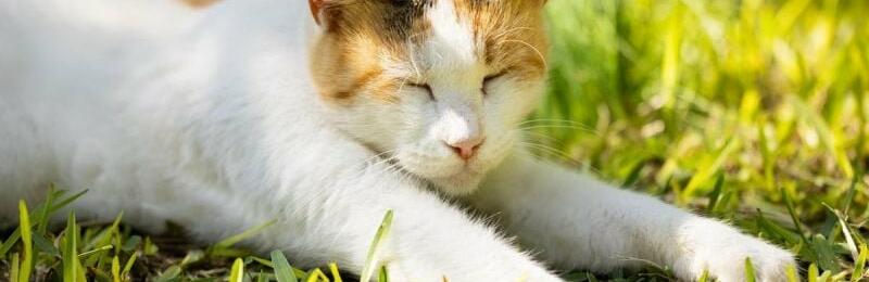  ����� ���� ���� ������� ������ ������ 