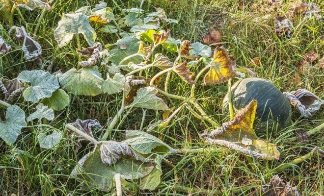  ��������� ���������� ��������� ���� ���� ������ ����� ������ 