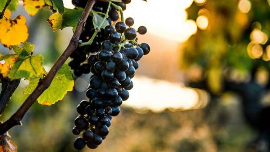 ����: 056.ua