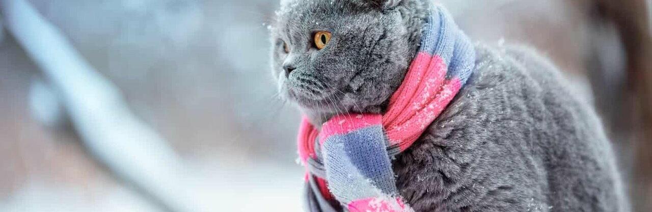 ����: 056.ua