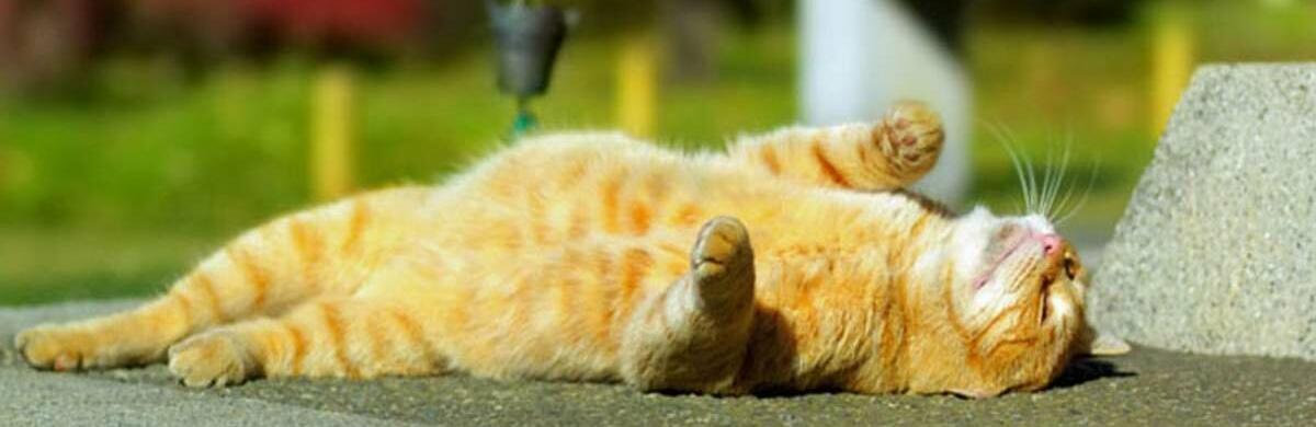 ����: 056.ua