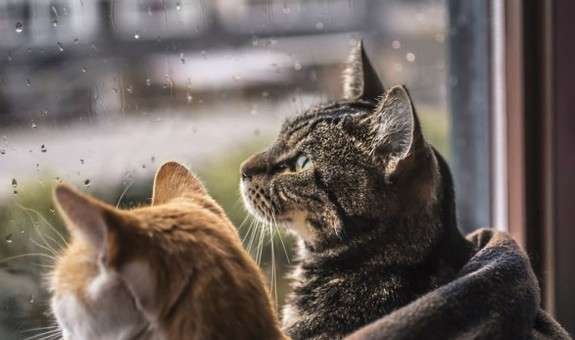  ������ ����� �������� ������ ������� ������ ������� ����� 