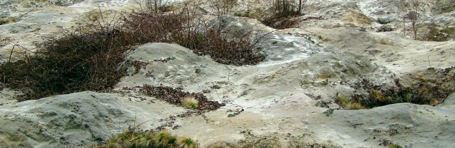  ������� ������ �� ��� ���� ������������ ������� ����� 