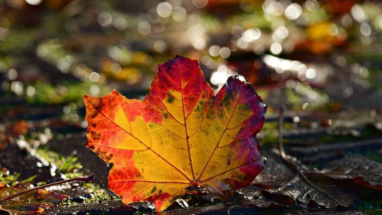  ������ ���������� ����������� ������ ������� ������ ������ ����� 