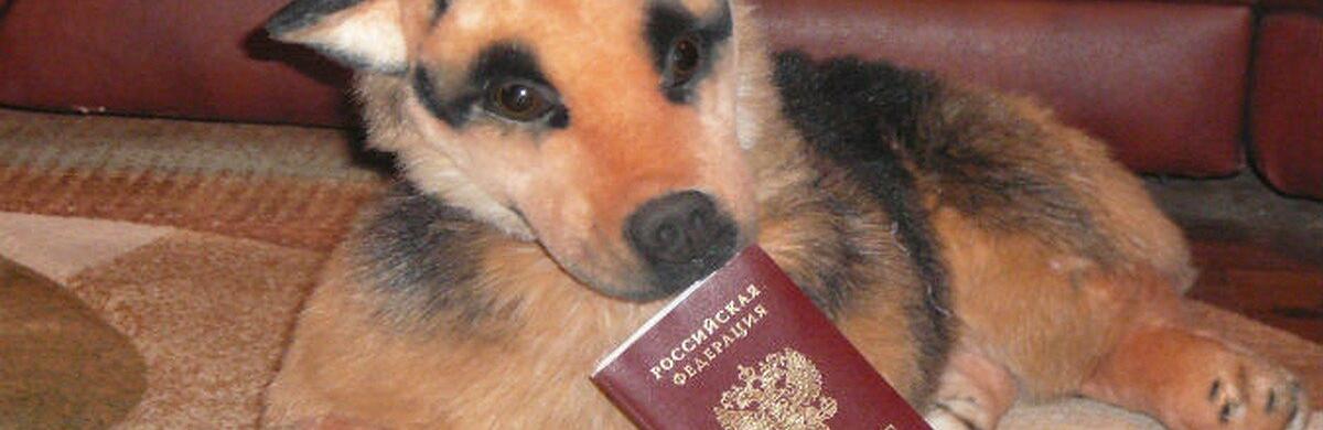  ������ �������� ����������� ������ ����� ���� 