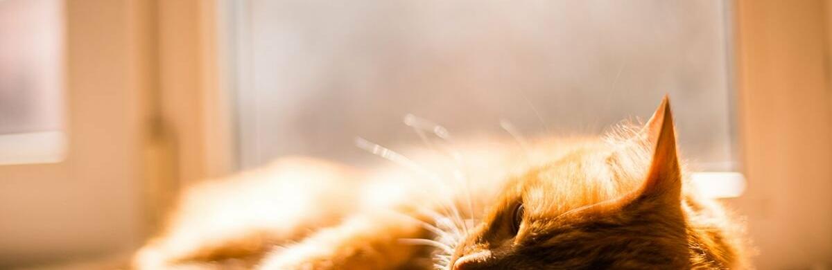  ����� ������ ���� ������ ������� ������ ����� ����� 