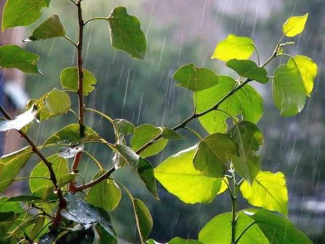  ������ ����������� ���� �������� ����� ���� ���� ������ 