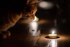  ���������� ����� ����� ���� �����������㳿 ������� 