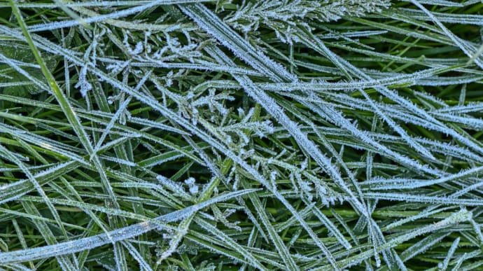 ����: 056.ua