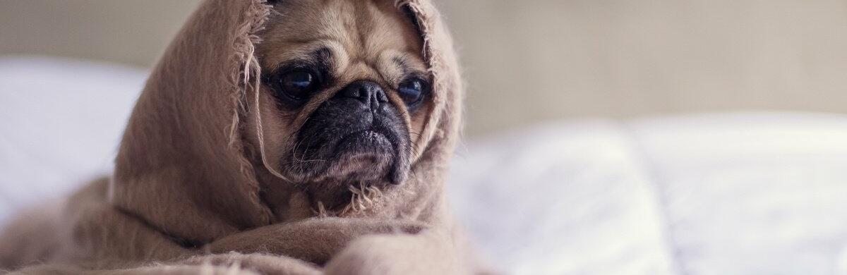  ���������� �������� ���������� ������ ����� ��� ������ 