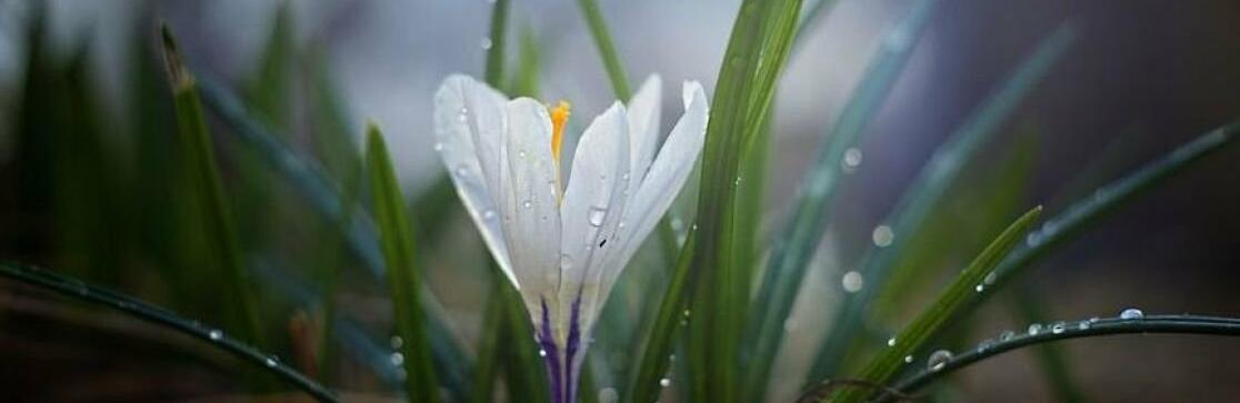 ����: 056.ua