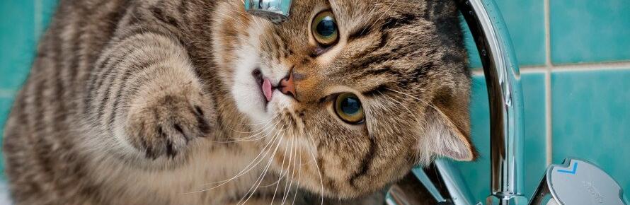  ���� ���� ����� ���������� ��������� ���������� 