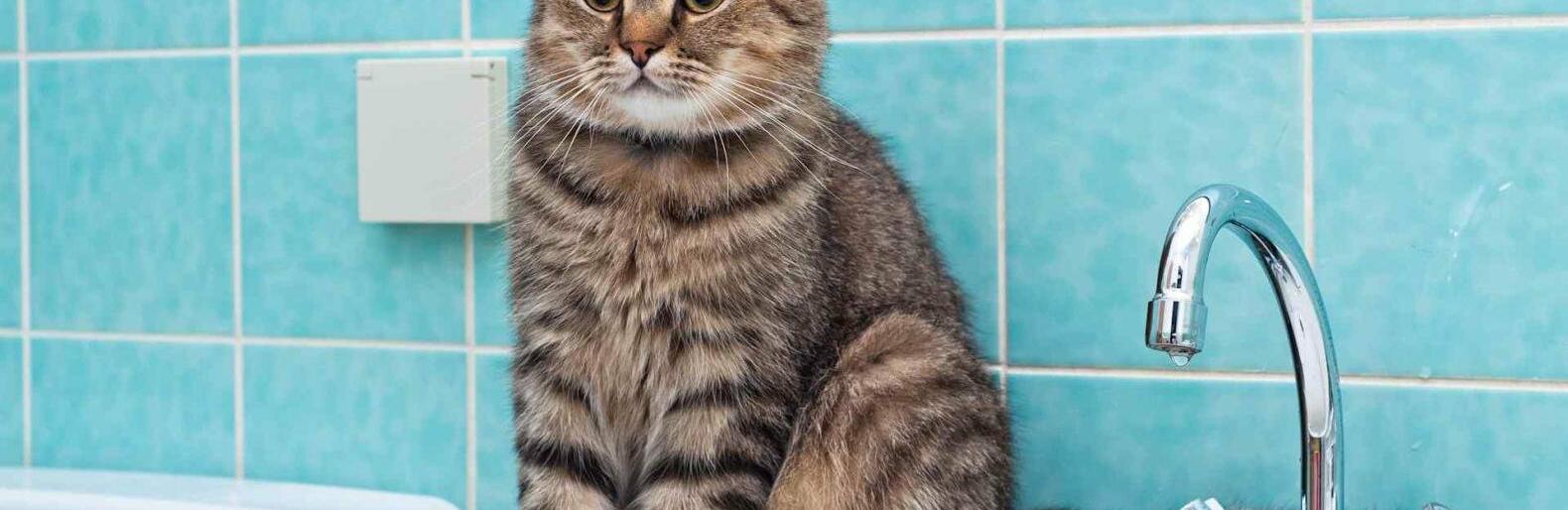  ����� ���� ���� ������� 