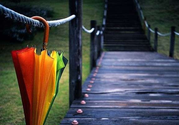  ��������� ������ �������� ���� ���� ������ ����� ������ 