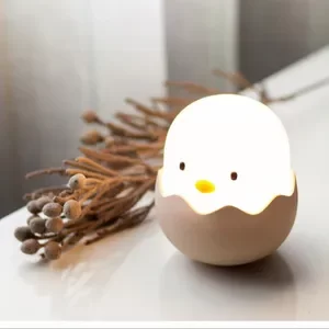  ����� ���� ����� ����� 