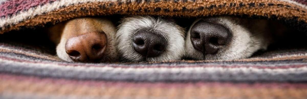  ������ ��� ����������� ������� ������ ������ ����� 