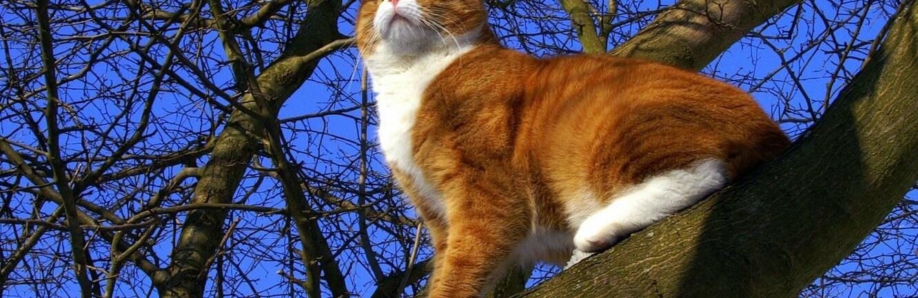  ������ ����������� ����� ������� ������ ������ ����� 