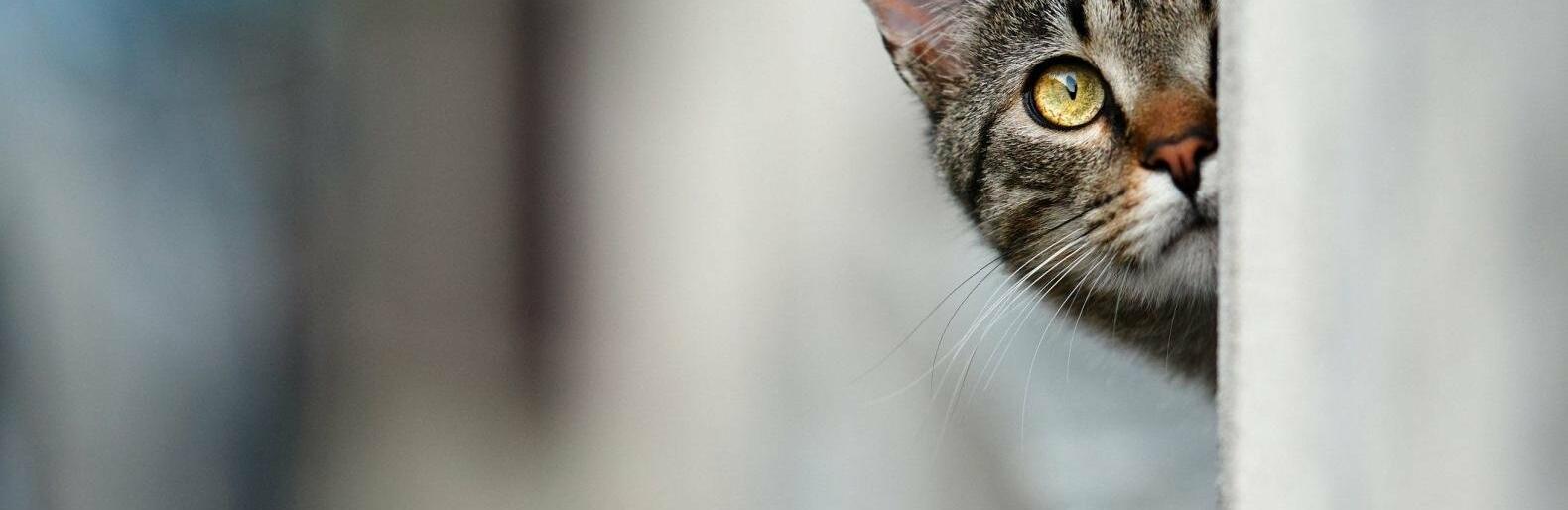  ������ ��������� ���� ���� ������ �������� ����� 