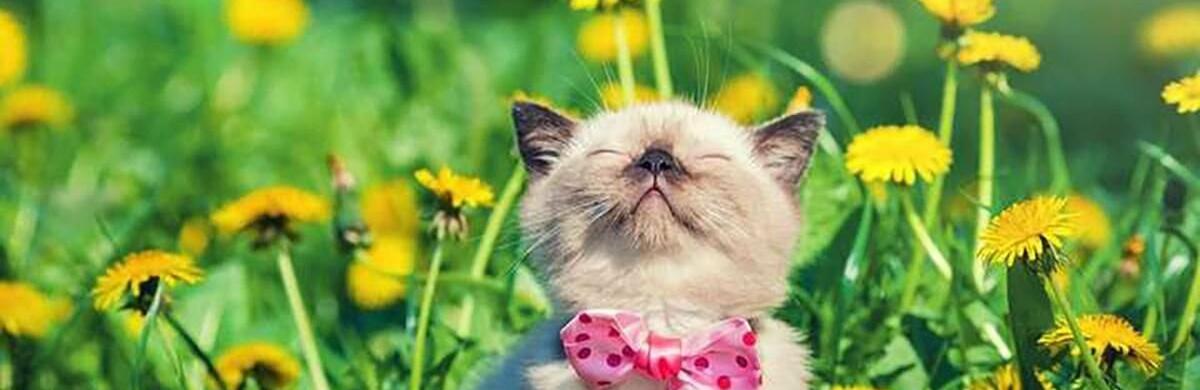  ������ ��������� ���������� ����������� ������� ������ ������ ����� 