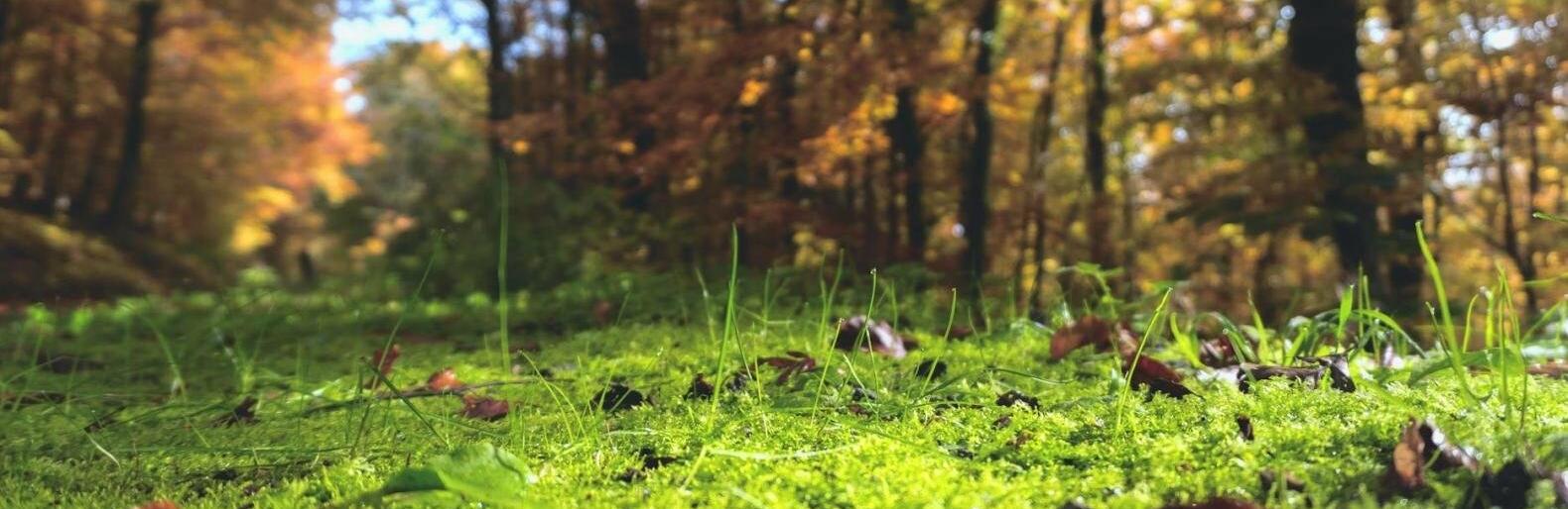  ������ ����������� ��� ��� ������ ���� ������� ������ 