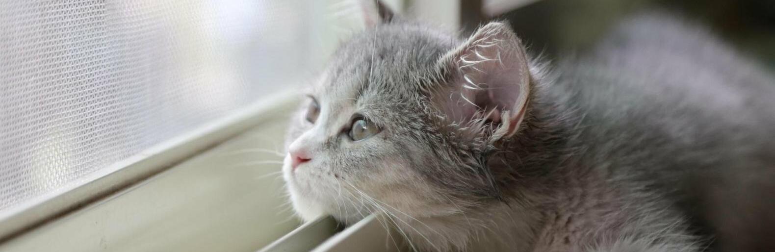  ����� ���� ������ ������������ ������� ������ ������ 