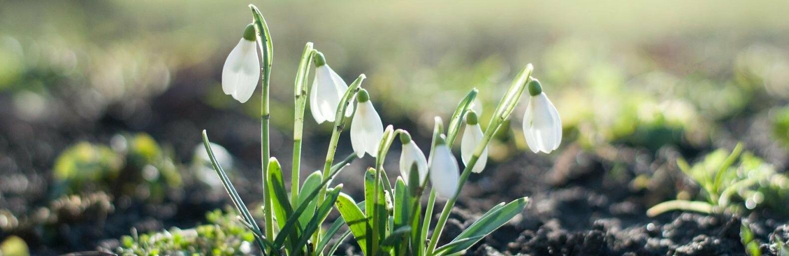  ��������� ������� ������ ����� ������ ���� ����� 