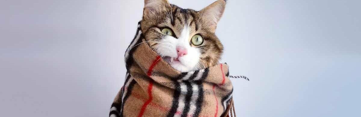  ��� ������ �������� ����������� ������������ �� ������� 500 