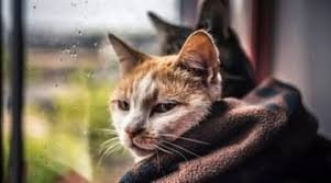  ����������� ������ ���� ������ ������� ������ ����� ������ 