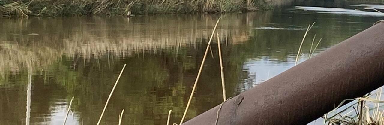  �������� ���� ���������������� ���������� ������� ������� ��� ��������� 