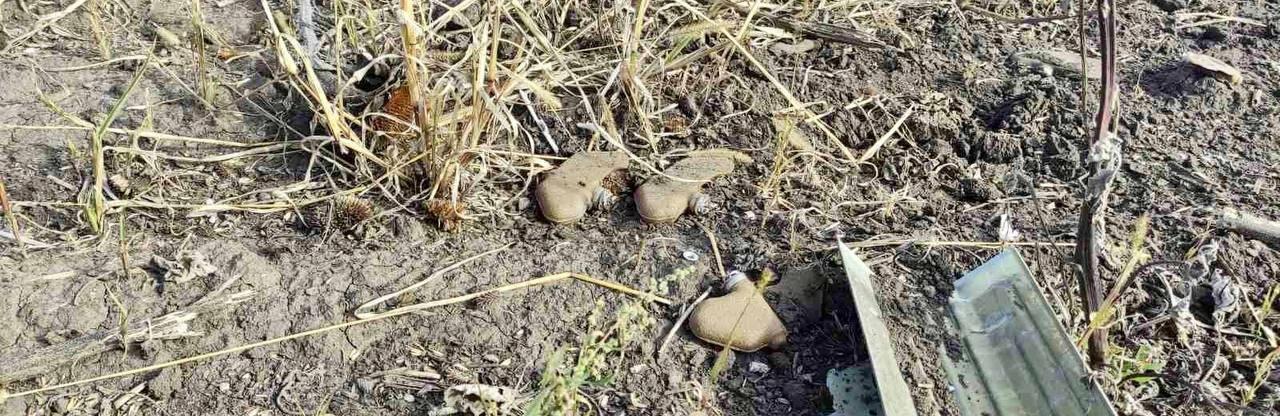  ������ ����������� �������� ����� �������� ���������������� ������ ����� 