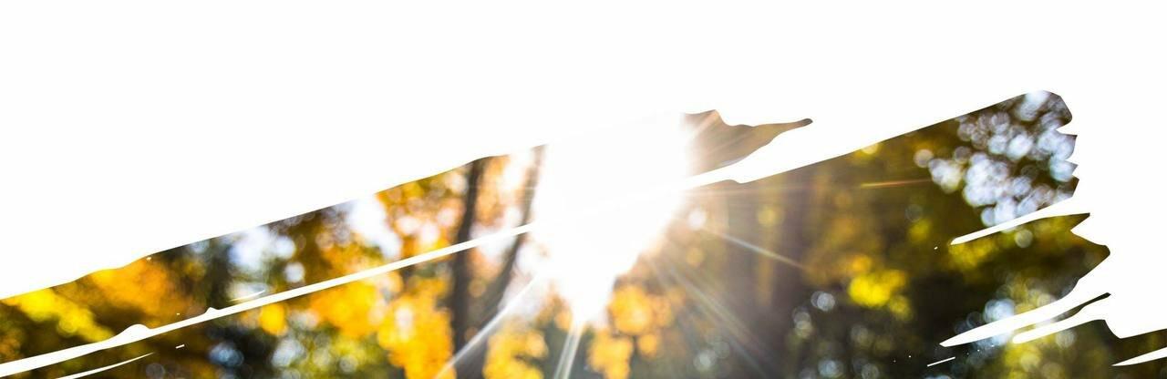  ������� ������� ������ ����� �������� ���������������� ������ ����� 