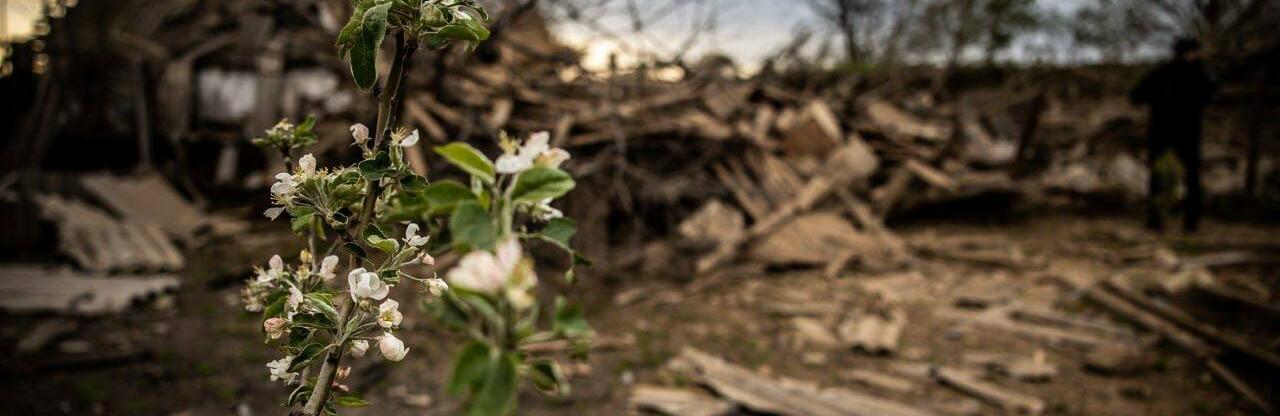  �������� ������� ���������� ����������� ���� ����� ���� ����� 