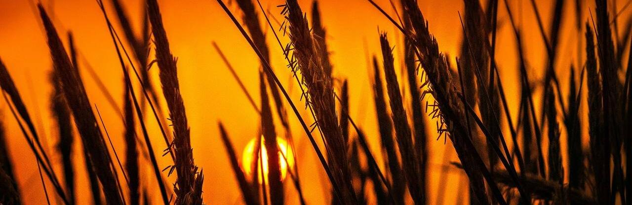  ��������� �������� ���������������� ���������� ���������� ������ ����� 