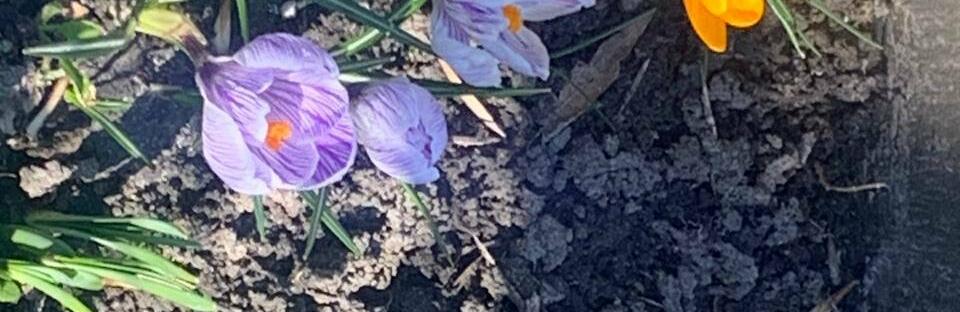  ������ ���� ������ ������ ������� ������ ������� ����� 