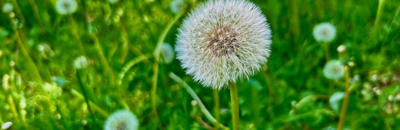  ������ ��������� ����������� ������ ������� ������ ������� ����� 