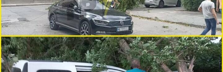  ���������� ������� ��� �� ���� ������ ������ ����� 