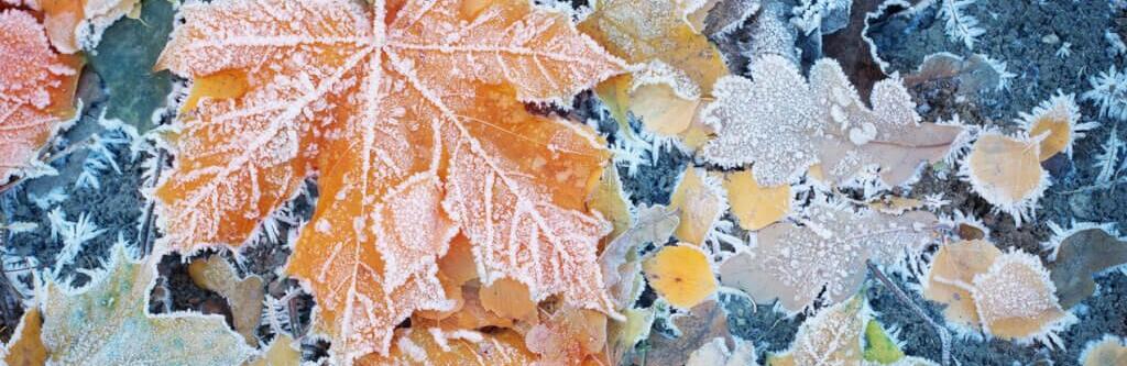  ������ ����� �������� ������� ������ ���� ���� ���� 