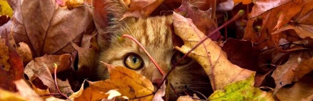  ������ ������� ��� ���� ������ ����� ������� ����� 