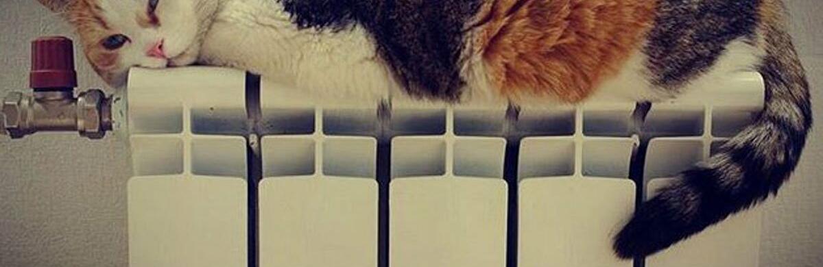  ����� ���������� ������������ ����� ���� ����������� ������ 