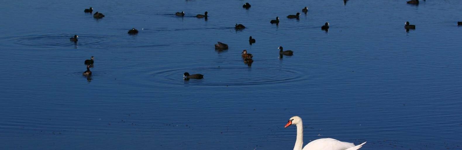  ������ ���������� ������ ������ ���� ���� ������ ����� 