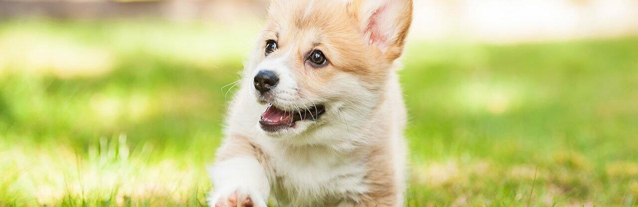 ����: 056.ua