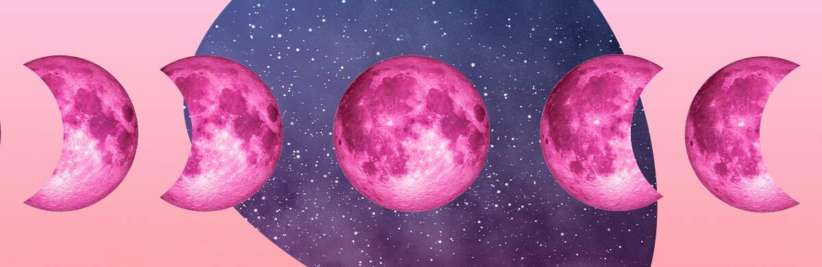  ���� ����� ������ 2024 ��������� ��� ���� ����� 