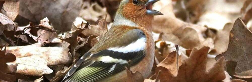  ��������� ��������� ������� ��� ������ ���� ����� 