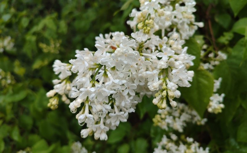  ������ ����������� ����� ������� ������ ������ ����� 