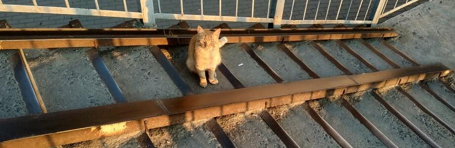  ���� ������ ������ ��� ���� ������� ������� ����� 