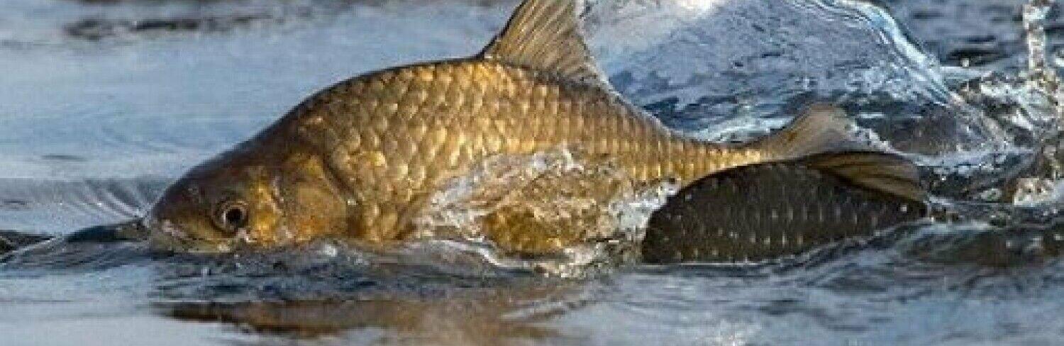  �������� ������ ���� ���������������� ���� ������ ���� 