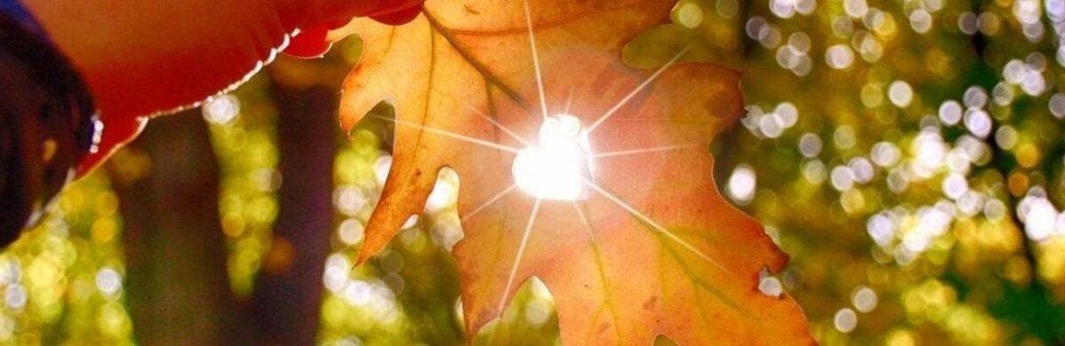  ������ ���������� ������� ���� ������� ������ ������� 