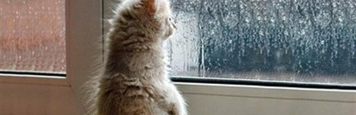  ��������� ��� ����� ������ ������� ������ ������ ����� 