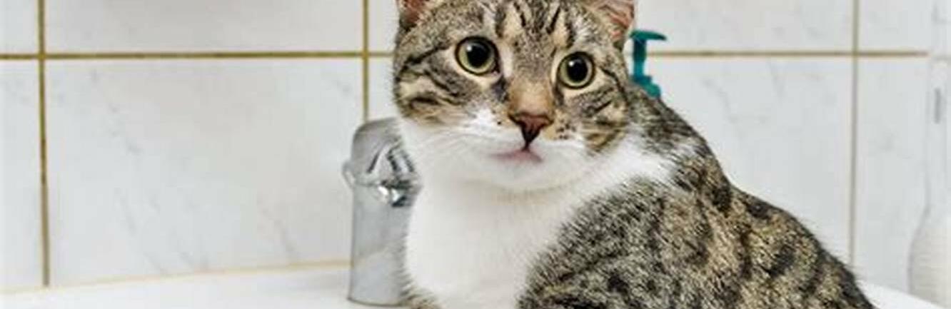  ����������� ����� ����� �� ���� ��������� ���� ����� 